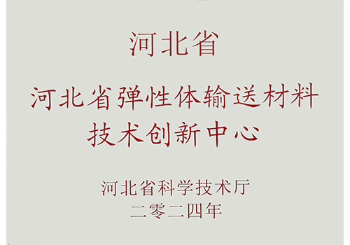 河北省彈性體輸送材料技術(shù)創(chuàng  )新中心.jpg